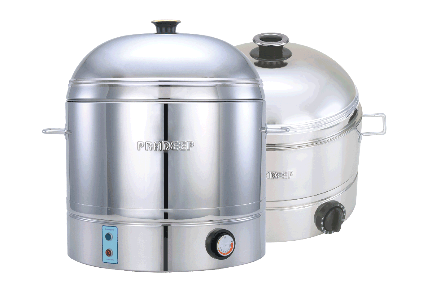 Electric Food Steamer